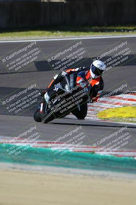 media/Mar-17-2024-Fastrack Riders (Sun) [[c7d6f8c14c]]/Level 3/Turn 6/